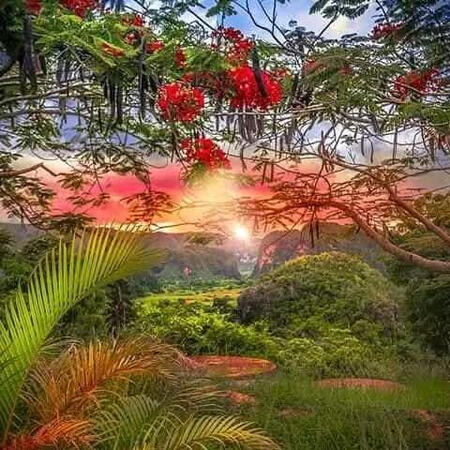 🌿 Viñales Natur-Tour – Das grüne Herz Kubas entdecken Willkommen im Viñales-Tal – wo die Zeit stillsteht und die Natur spricht. Erlebt eine unvergessliche Tagestour durch die spektakuläre Landschaft Westkubas: Wandert oder reitet vorbei an Kalksteinfels